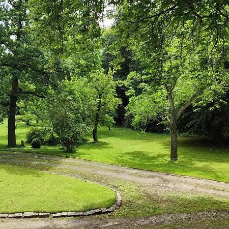 Ferienwohnung Goslar Mit Parkblick Am Harz Luaran gambar