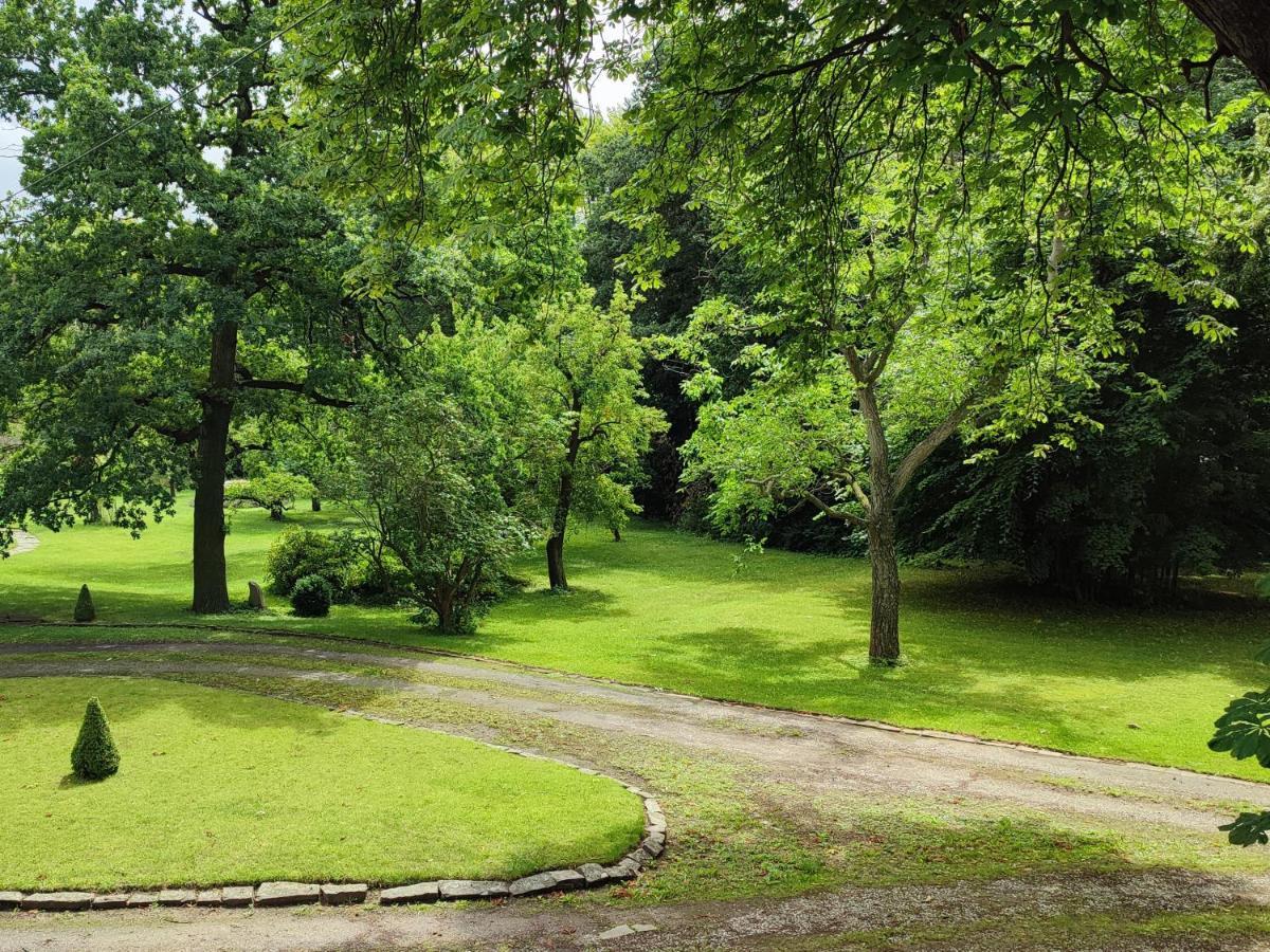 Ferienwohnung Goslar Mit Parkblick Am Harz Luaran gambar